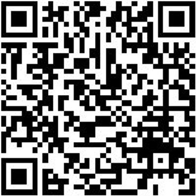 Saalbesen Bsn-Saal-Weich/Hart-Weiss