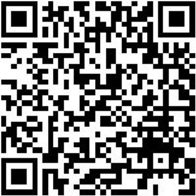 Saalbesen Bsn-Saal-Weich/Hart-Gelb