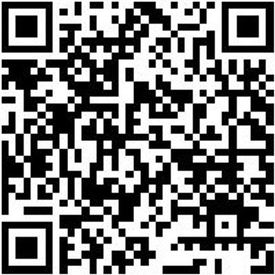 Bohrer Spezial Holz Sortiment Bo-Fl-Sort-Ho-(D10-25Mm)-L150Mm-6Tlg