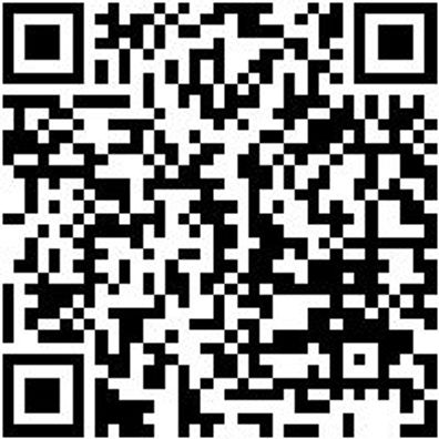 Saugheber Scheibenreparatur Saughbr-Shbrep-F. Dreiecksfenster