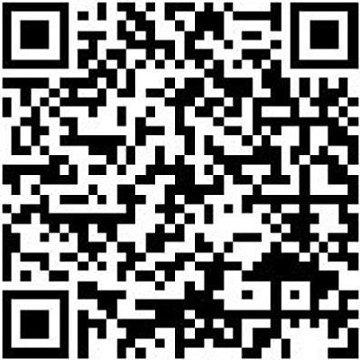 Schaber Sortiment/Set Schab-Kst-Set-2Tlg