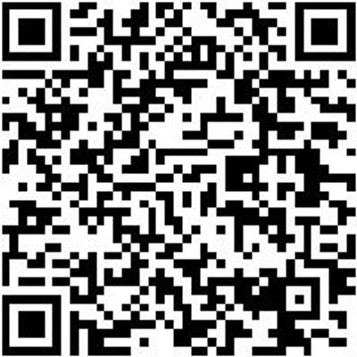 Schaber Sortiment/Set Pu-Schab-Set-Fluegel-Kli-38Tlg