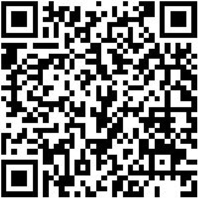 Schalungsbohrer Bo-Shal-Hss-D10-L600Mm