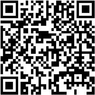 Schaufelstiel Schaufstiel-(T-Griff)-40X1300Mm