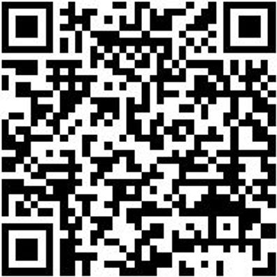 Durchtreiber Dutreib-8-L120Mm