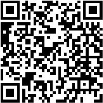 Bremskolben-Spreizer Bremskolb-Sprz-250Mm