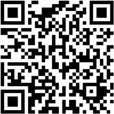 Feilenheft Feilheft-Ho-Din395-130/300Mm