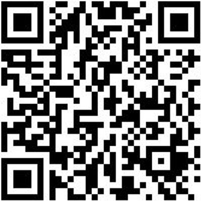 Feilenheft Feilheft-Feil250/300/350Mm