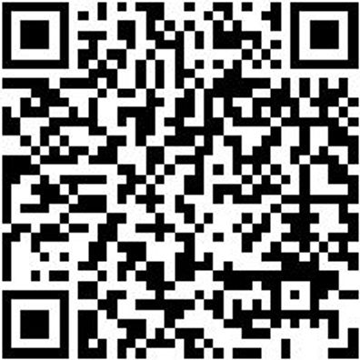 Schlagbohrmaschine Elektro Shlgboma-El-(Sb13-Xe)-Koffer