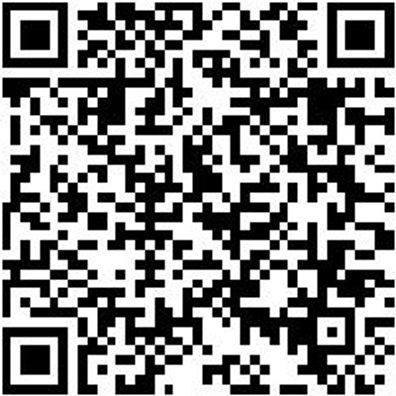 Flachpinsel Flpins-Lm-St12-Hl-Gr60