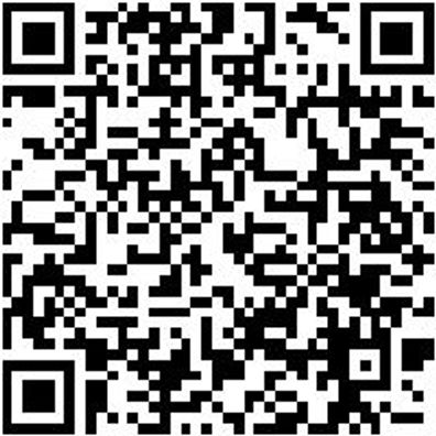 Flachpinsel Flpins-Lm-St12-Dk-Gr40