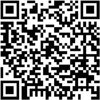 Flachpinsel Flpins-Lm-Pa-St12-Gr25