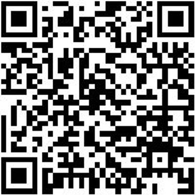 Flachpinsel Flpins-Lm-Pa-St12-Gr60