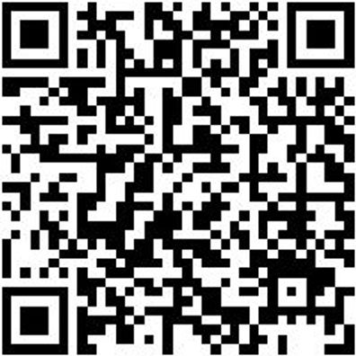 Flachpinsel Flpins-Wb-Pa-St12-Gr40