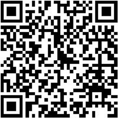 Flachpinsel Flpins-La-Pa-St12-Gr50