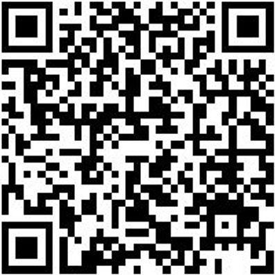 Flachpinsel Flpins-Wb-St9-Gr40