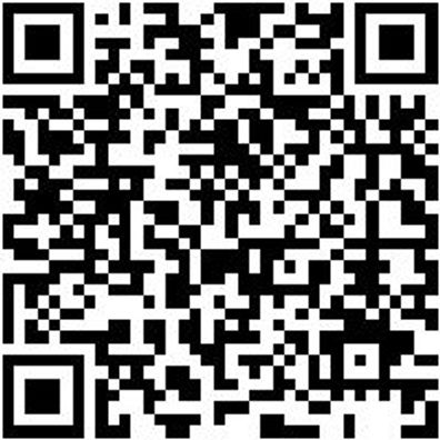 Schlangenbohrer Bo-Schlang-Ls-Zyl-6X165Mm