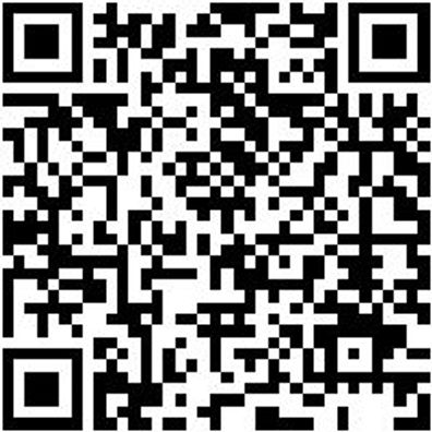 Schlangenbohrer Bo-Schlang-Ls-6Kt-10X165Mm