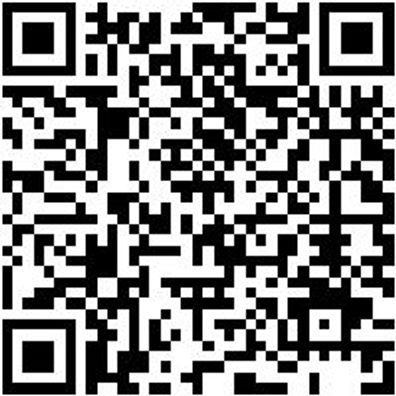 Schlangenbohrer Bo-Schlang-Ls-6Kt-12X165Mm