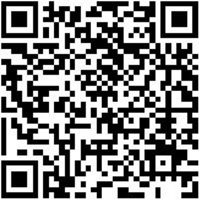 Schlangenbohrer Bo-Schlang-Ls-6Kt-16X165Mm