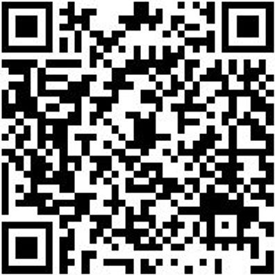 Gelenkkopfknarre 1/4 Zoll Knar-Glkkpf-1/4Zo