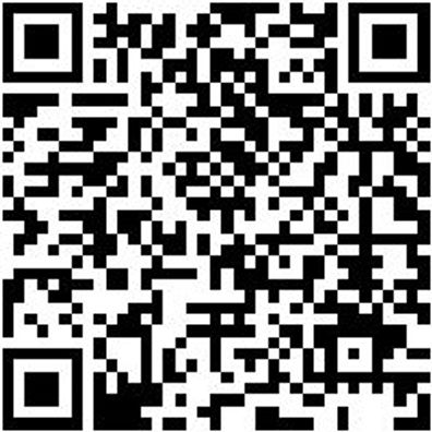 Schlangenbohrer Bo-Schlang-Ls-6Kt-22X165Mm