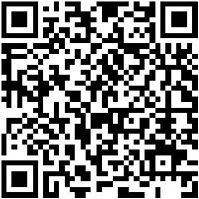 Schlangenbohrer Bo-Schlang-Ls-Zyl-6X250Mm