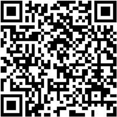 Schlangenbohrer Bo-Schlang-Ls-6Kt-16X250Mm