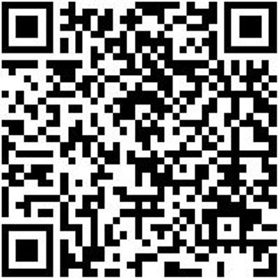 Schlangenbohrer Bo-Schlang-Ls-6Kt-22X250Mm