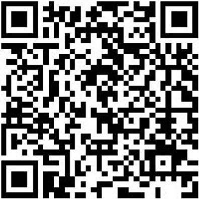 Schlangenbohrer Bo-Schlang-Ls-6Kt-24X250Mm