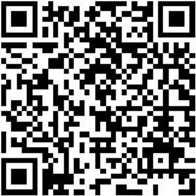 Schlangenbohrer Bo-Schlang-Ls-6Kt-26X250Mm