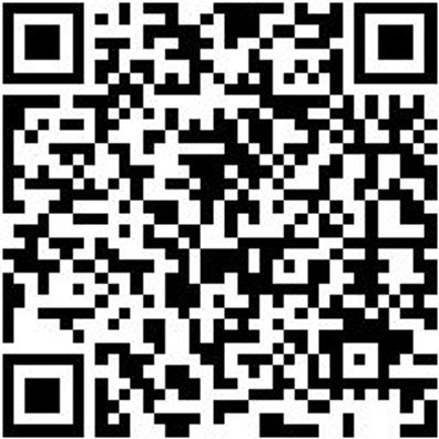 Schlangenbohrer Bo-Schlang-Ls-Zyl-6X390Mm