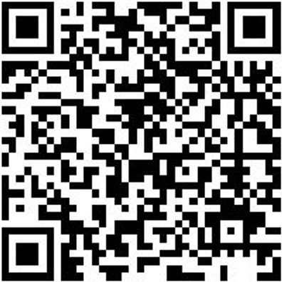 Schlangenbohrer Bo-Schlang-Ls-6Kt-8X390Mm