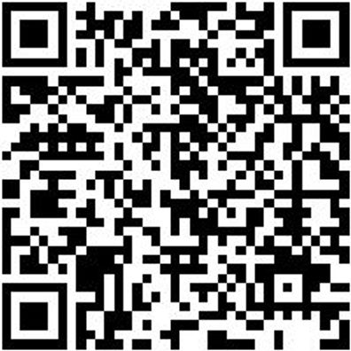 Schlangenbohrer Bo-Schlang-Ls-6Kt-10X390Mm