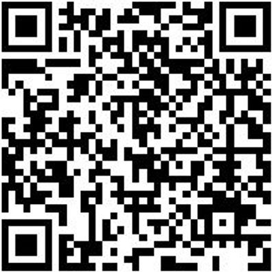 Schlangenbohrer Bo-Schlang-Ls-6Kt-12X390Mm