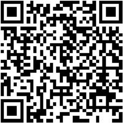 Schlangenbohrer Bo-Schlang-Ls-6Kt-14X390Mm