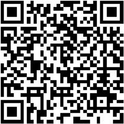 Schlangenbohrer Bo-Schlang-Ls-6Kt-16X390Mm