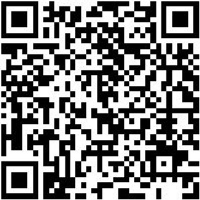 Schlangenbohrer Bo-Schlang-Ls-6Kt-18X390Mm