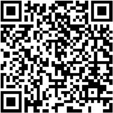 Schlangenbohrer Bo-Schlang-Ls-6Kt-22X390Mm