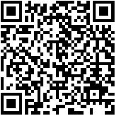 Schlangenbohrer Bo-Schlang-Ls-6Kt-24X390Mm