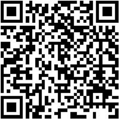 Schlangenbohrer Bo-Schlang-Ls-6Kt-26X390Mm