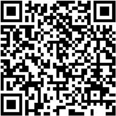 Schlangenbohrer Bo-Schlang-Ls-6Kt-28X390Mm