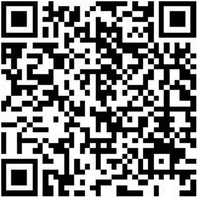 Schlangenbohrer Bo-Schlang-Ls-6Kt-30X390Mm