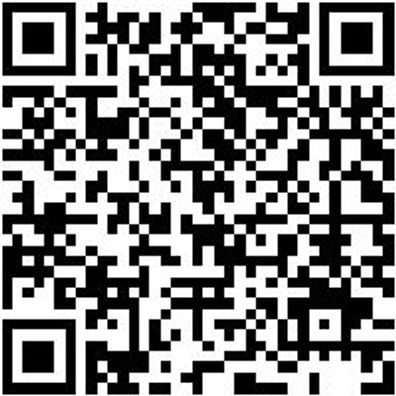 Schlangenbohrer Bo-Schlang-Ls-6Kt-20X580Mm