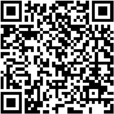 Schlangenbohrer Bo-Schlang-Ls-6Kt-22X580Mm