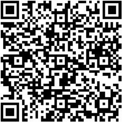 Schlangenbohrer Sortiment Bo-Schlang-Sort-Ls-6Stk-165Mm