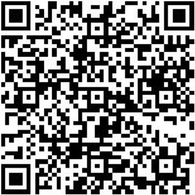 Schlangenbohrer Sortiment Bo-Schlang-Sort-Ls-6Stk-250Mm