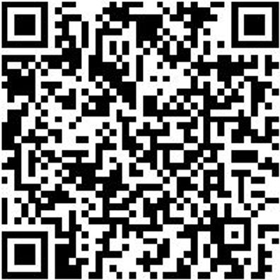 Schleifband Lang Shlfba-Lang-Vlies-100X9000Mm-Mittel