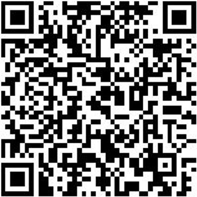 Schleifband Lang Shlfba-Lang-Vlies-100X11200Mm-Mittel