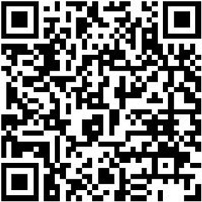 Schleiffeile Druckluft Shlffeil-Dl-Dsf10-L330Mm